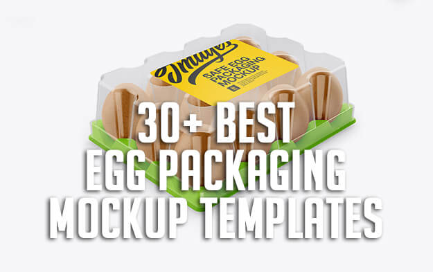 30+ Best Egg Packaging Mockup Templates